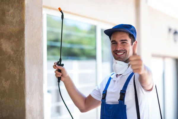 Mission Viejo Wasp Removal