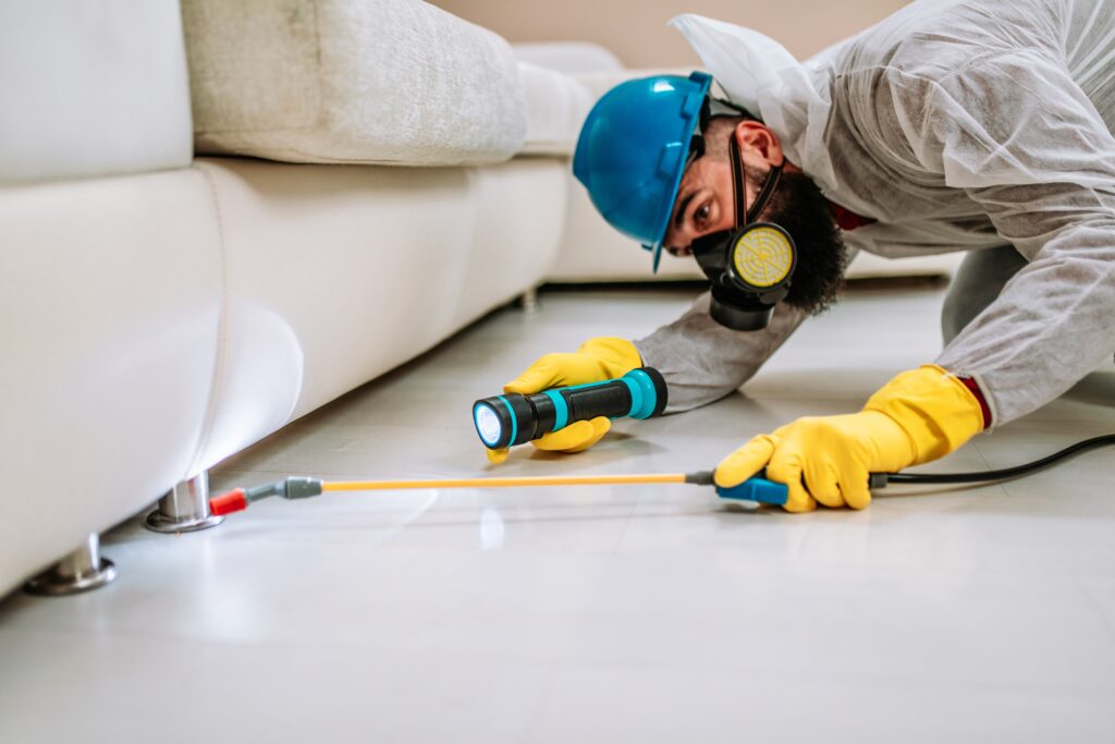 Mission Viejo Termite Control