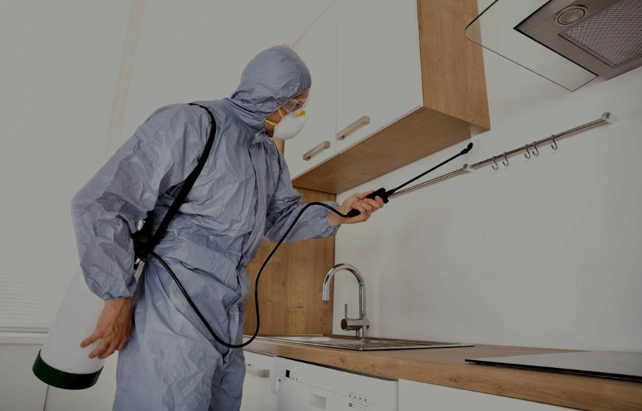 Mission Viejo pest managment